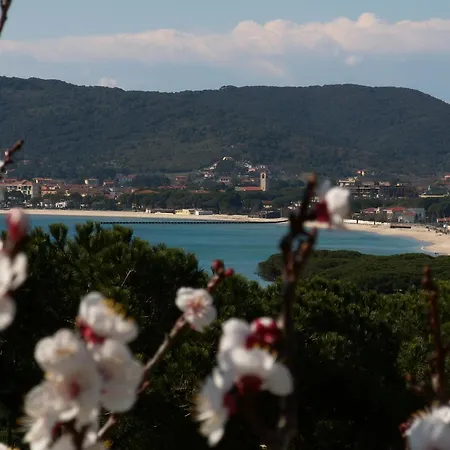 ホテル Santa Caterina マリーナ・ディ・カンポ